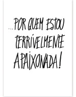 foto8